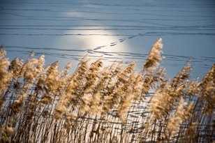 Lietuvos ežerai žiemą: pramogos ir saugumas