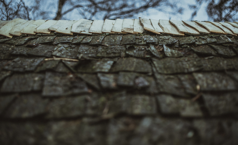 Stogdengystės amatas