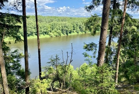 Sodyba „Žiogeliai“