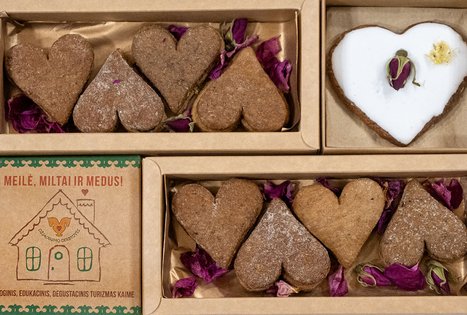 Asociacija „Džiaugsmo dirbtuvės“