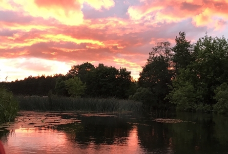 Sodyba „Žalioji stotelė“