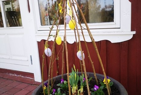 Sodyba „Mockynė“