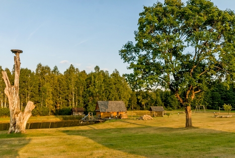 Vilijos Čepulienės sodyba