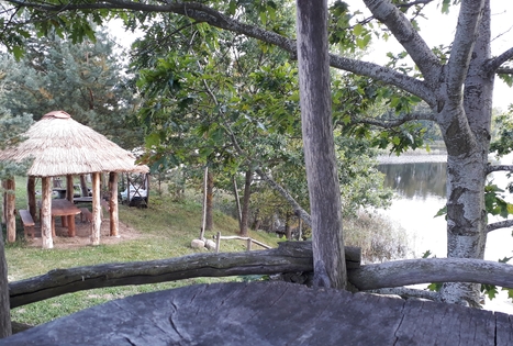 Sodyba „Geltonžiedė liepa“