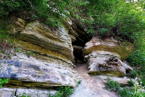 Ekskursijų/kelionių/žygių po Lietuvos gamtą organizavimas