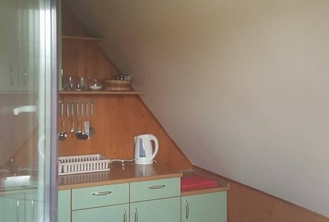 Nijolės ir Henriko Zubrickų sodyba