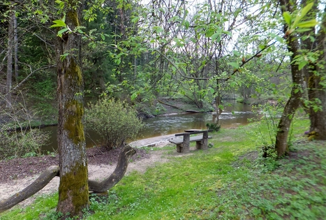 Angelės Raulušaitienės sodyba „Ūla“