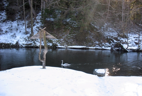 Angelės Raulušaitienės sodyba „Ūla“
