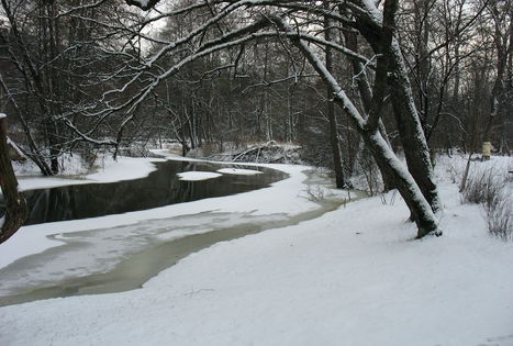 Angelės Raulušaitienės sodyba „Ūla“