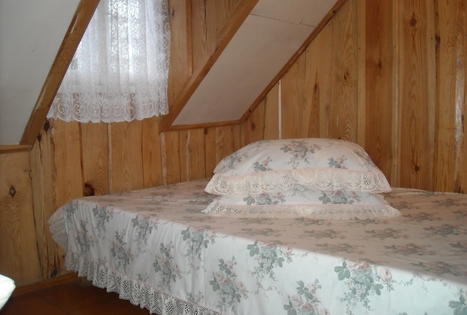 Viliaus Vaicekausko sodyba