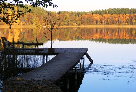 Sodyba „Atostogos Grybiškėje“