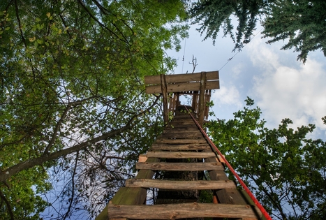 Mikierių pažintinis-nuotykių takas