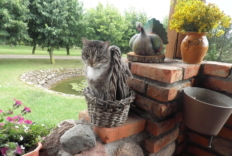 Sodyba „Gintagnė“