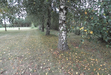 Sodyba „Gintagnė“