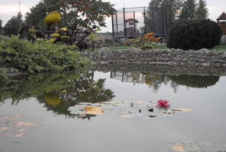 Sodyba „Gintagnė“