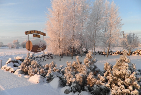 Sodyba „Gintagnė“