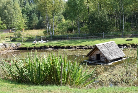 Sodyba „Elenutės namai“
