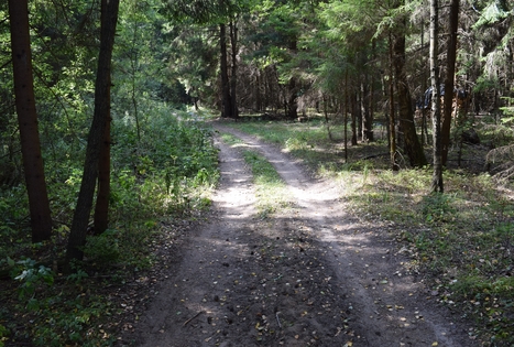 Sodyba „Elenutės namai“