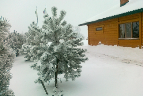 Juliaus Grižo sodyba