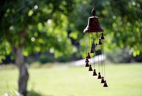 Sodyba „Tarp liepų“