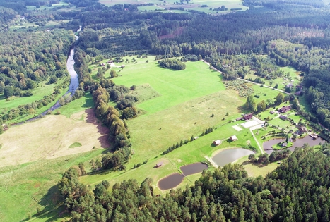 Sodyba „Tarp liepų“