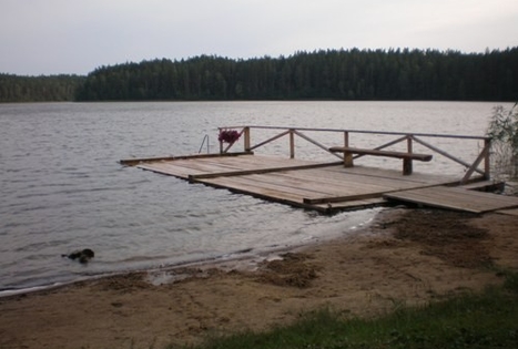 Stasės Kraujalienės sodyba