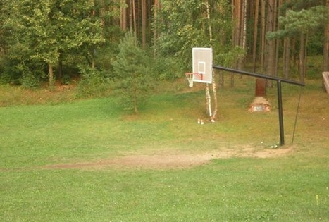 Stasės Kraujalienės sodyba