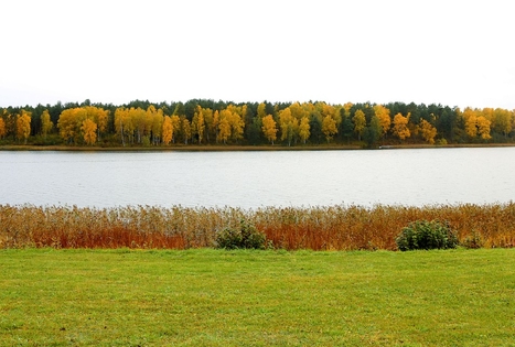 Vila „Pas Šeštoką“