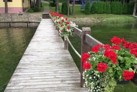 Agnės Babelienės sodyba