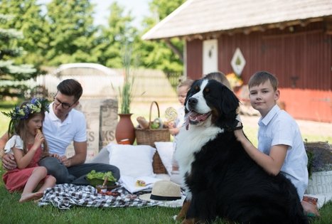 Sodyba „Mockynė“