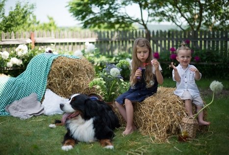 Sodyba „Mockynė“