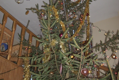 „Šveicarijos vila“