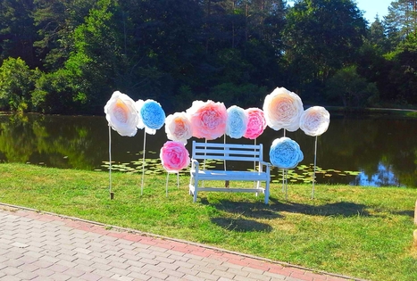 Sodyba „Elniakampis“