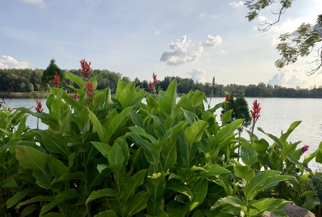 Sodyba — vila „Karališkis“