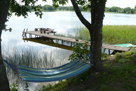 Sodyba „Pažiezdris“