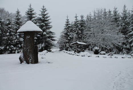 Sodyba „Svajonių Dvaras“