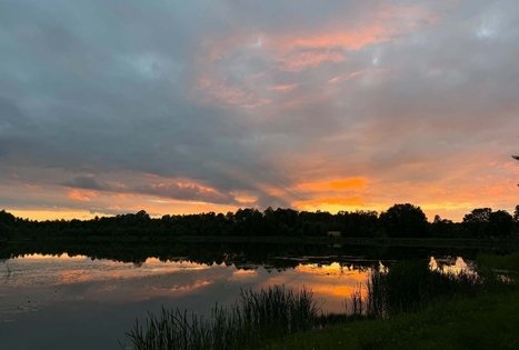 Sodyba „Kvietkinė“