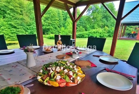 Sodyba „Dzūkų uoga“