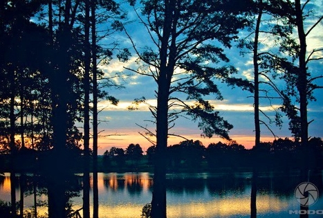 Sodyba „Margio krantas“