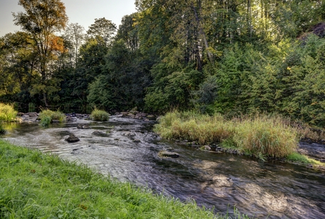 Sodyba „Žemsuodos kaimelis“
