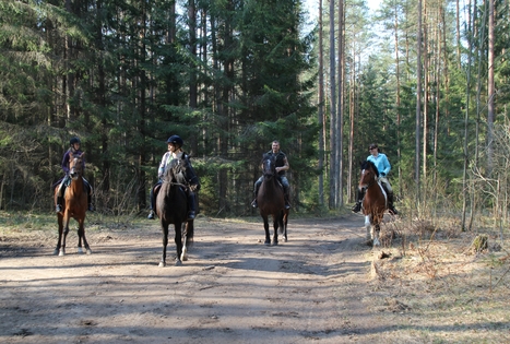 Sodyba „Labanoro dūda“