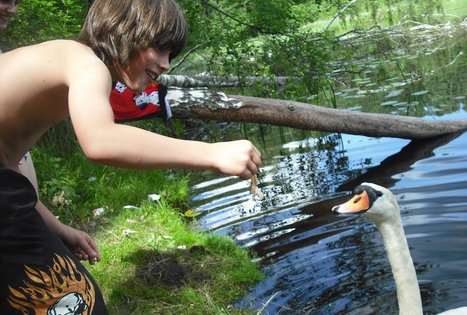 Sodyba „Laimės šulinys“