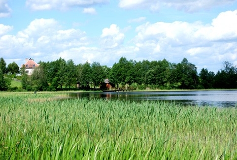 Sodyba „Laimės šulinys“