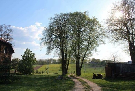Sodyba „Bučkalnis“