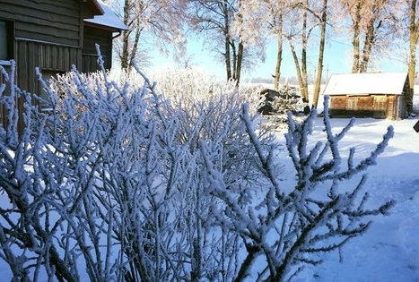 Sodyba „Bučkalnis“