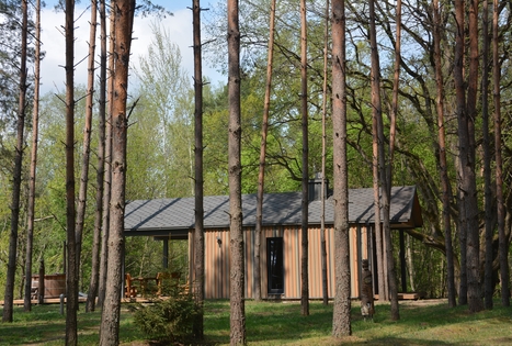 Sodyba „Pušų takas“