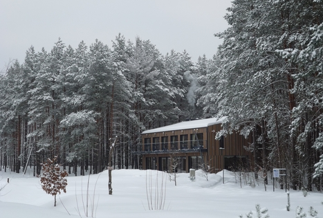 Sodyba „Pušų takas“