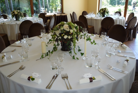 Sodyba „Pušų takas“