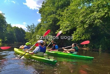 Sodyba „Dzūkų uoga“