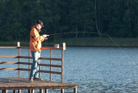 Sodyba „Prie Labanoro“